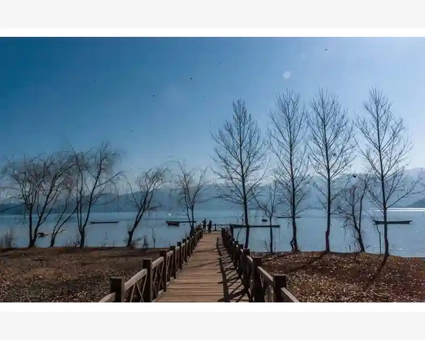 预算有限这样在B2B挖到高性价比货源_农业与食品加工领域