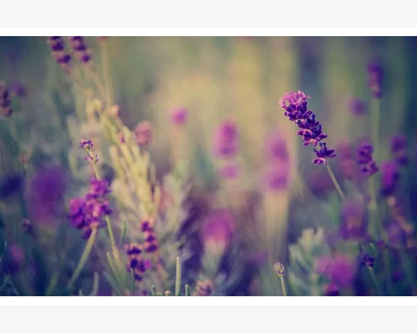 办公套装定制让企业福利采购更贴心_选品决定生死，别光看销量数字