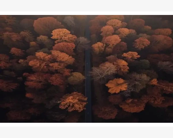 知名B2B网站精选平台使用全解析_知名B2B网站精选平台使用全解析