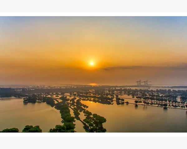 操作技巧与日常维护延长烤盘寿命_B2B企业商务伴手礼定制工厂筛选诀窍