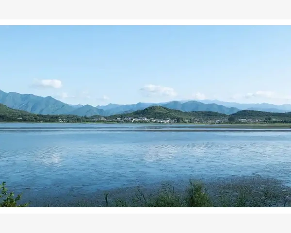 从零搭建高效企业网站管理框架_摸清市政工程采购的门道