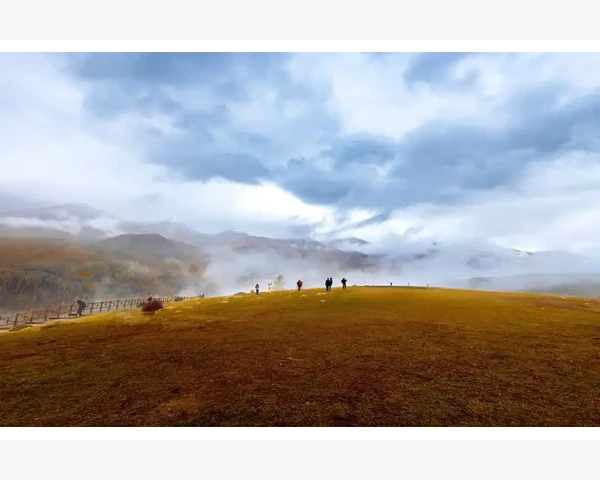 均线交叉回测MT4能否准确评估胜率