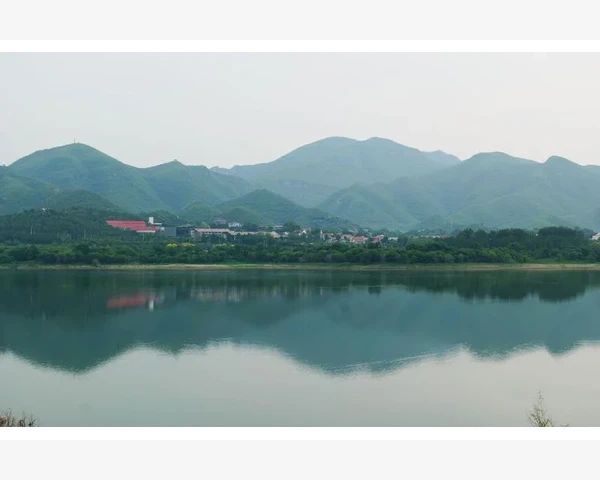 MT4指标偏移量功能详解与实战应用技巧_保存为PDF格式的详细操作步骤