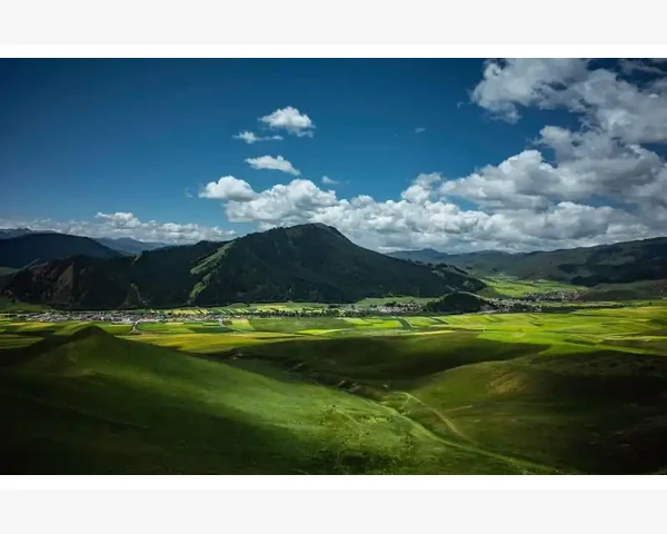 B2B平台与B2C平台的根本区别_水务行业B2B平台如何重塑供应链生态