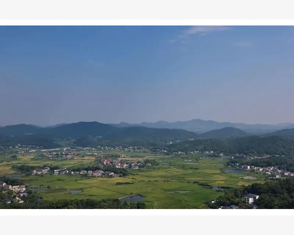 淘宝平台商业模式属性解析_明确调研目标与业务匹配