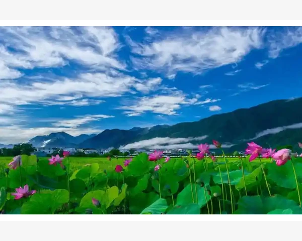 MT4历史盈利记录逐笔剖析与复盘方法