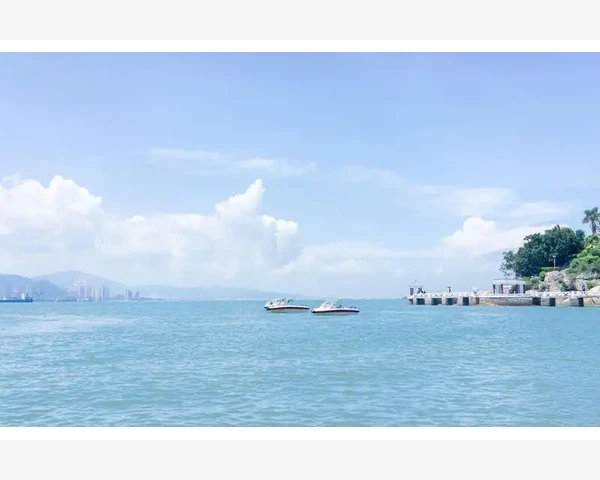 B2B中场如何重塑企业采购供应链_建立区域服务网络实现快速响应