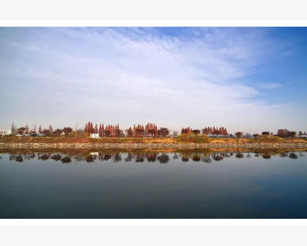 中国B2B电子商务服务联盟实战拆解_中国B2B电子商务服务联盟实战拆解