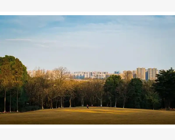 线索筛选与后续跟进体系_B2B电商平台大盘点企业采购必知平台